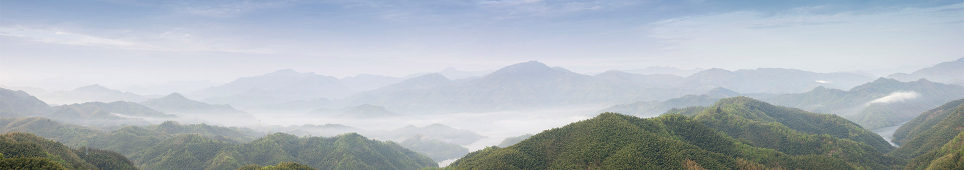 公司簡(jiǎn)介_深圳市三綠園林實(shí)業(yè)有限公司